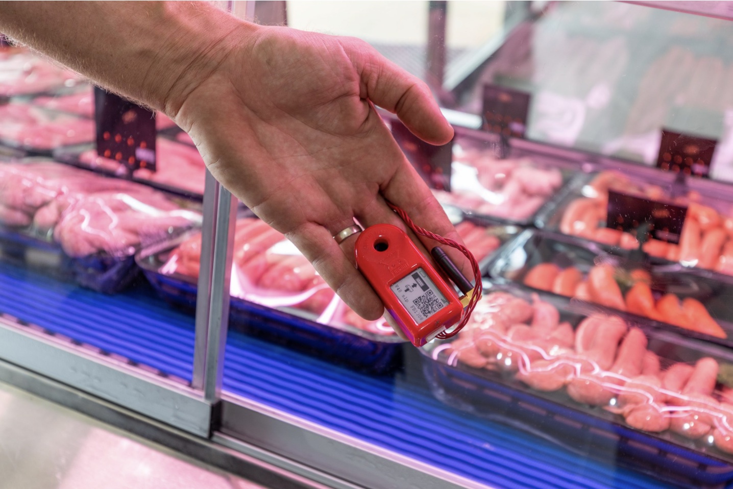 Frigbot temperature monitoring on a commercial refrigeration system