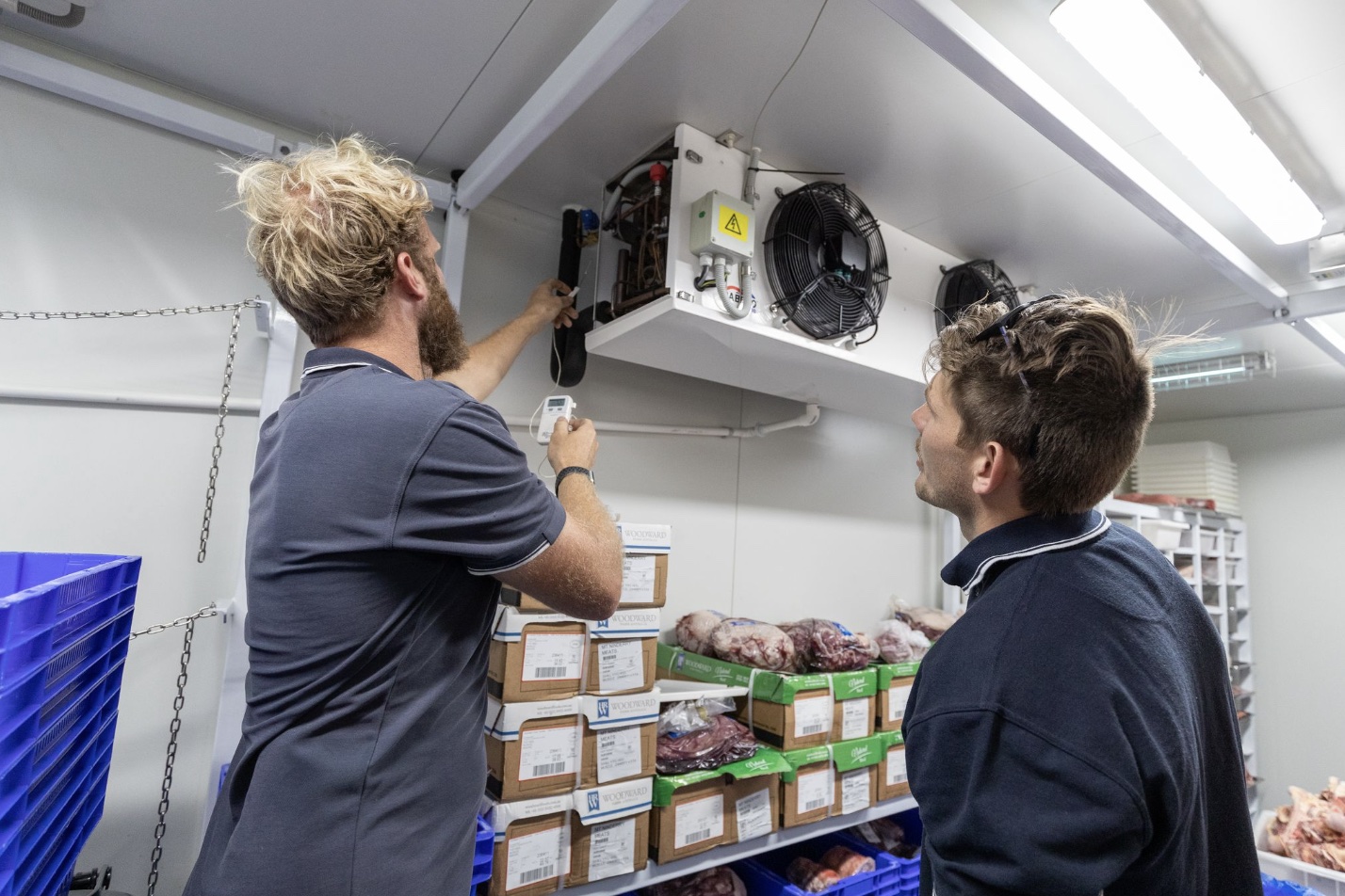 SETPOINT technicians checking a coolroom evaporator temperature